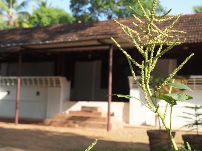 Chedi Spring Valley Hotel Athirapalli Kültér fotó